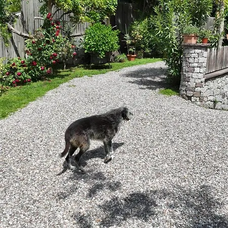 公寓 Nora S 3 - Panoramic Terrace & Bio Garden *