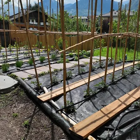 Nora S 3 - Panoramic Terrace & Bio Garden *