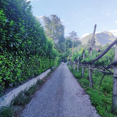 Nora S 3 - Panoramic Terrace & Bio Garden