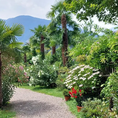 Nora S 3 - Panoramic Terrace & Bio Garden Lejlighed Merano