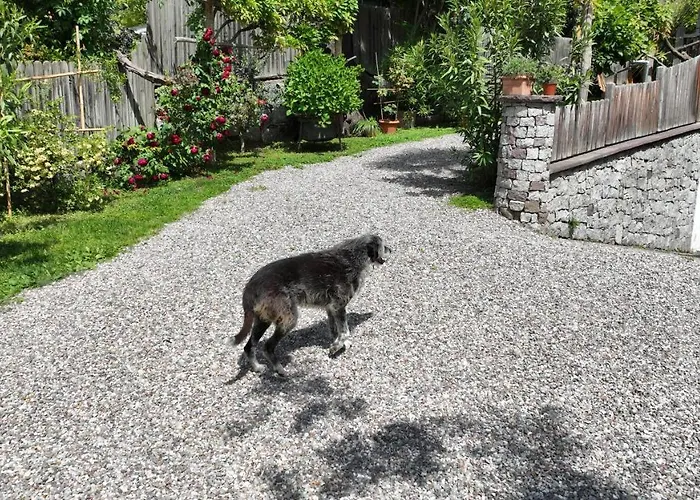 公寓 Nora S 3 - Panoramic Terrace & Bio Garden *